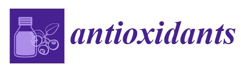 Antioxidants Journal